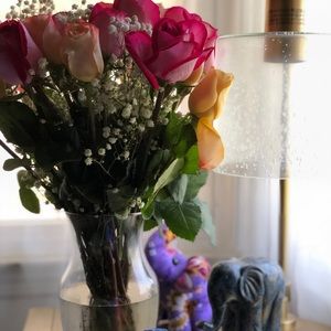 Meet your Posher, Nina